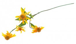 Umělá větvička Žluté květy 