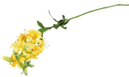 Umělá květina Lilie žlutá 