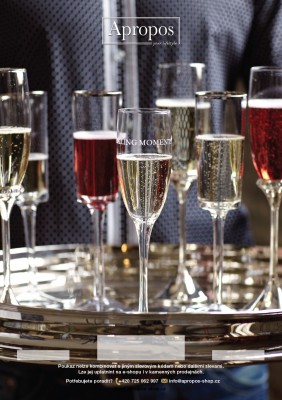 Elektronický dárkový poukaz Šampaňské - Kliknutím zobrazíte detail obrázku.